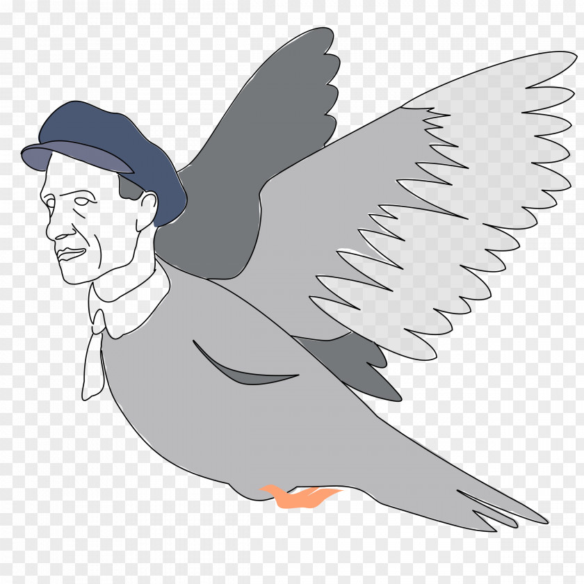 Pigeon Bird Clip Art PNG