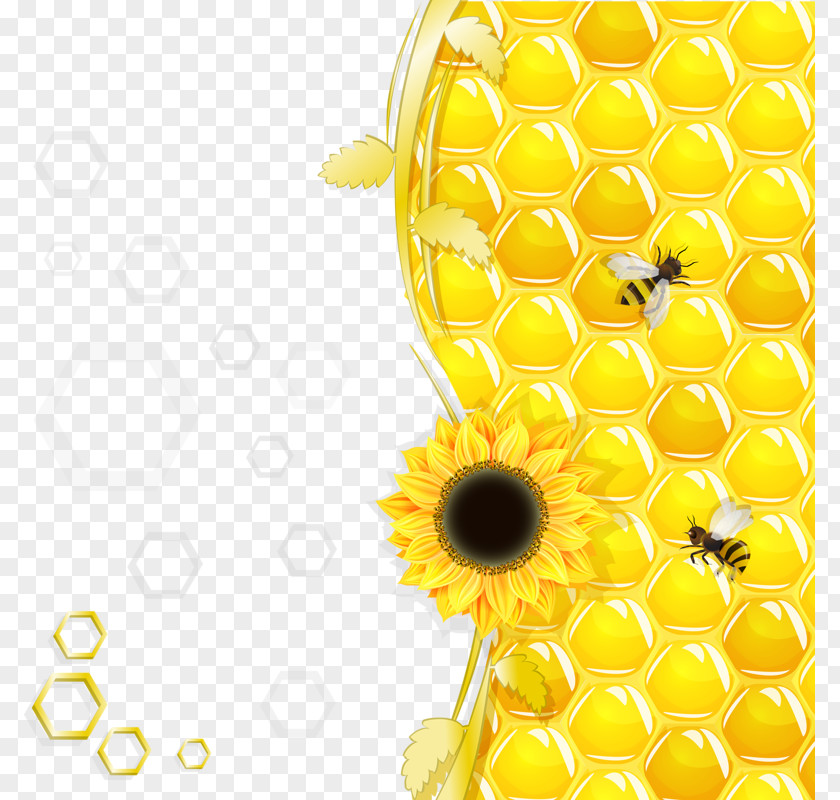 Yellow Honey Beehive Bee Fundal PNG