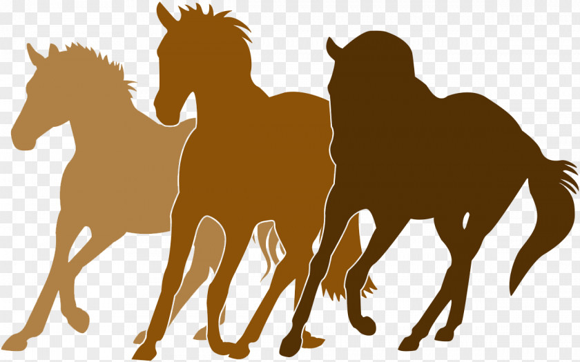 The Horse Exempts Equestrian Silhouette PNG