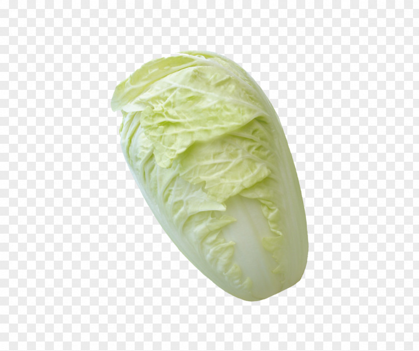 Vegetable Cabbage Napa Cauliflower PNG