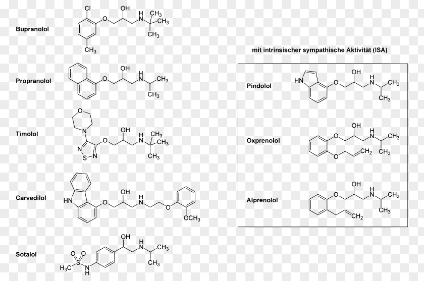 Beta Blocker Receptores Adrenérgicos Hypertension Propranolol Beta2-adrenergic Agonist PNG