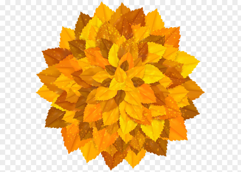 Fall Autumn Clip Art PNG