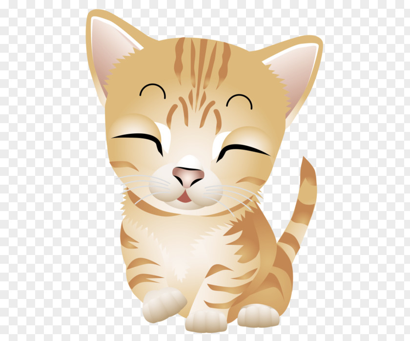 Kitten Cat Dog Tiger Clip Art PNG