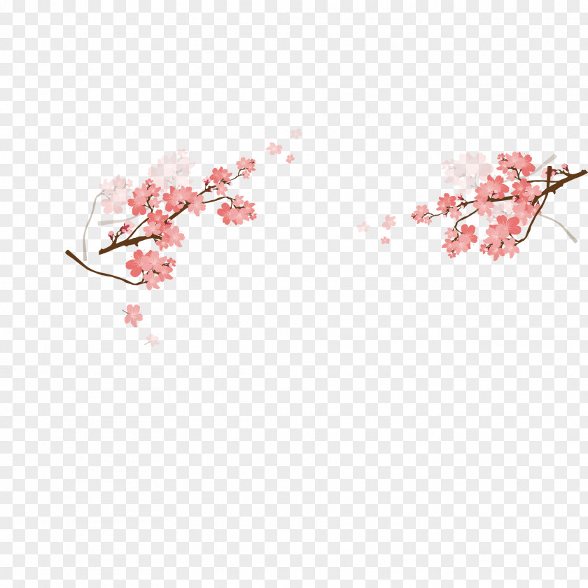 Vector Beautiful Japanese Cherry Blossoms Blossom Pink PNG