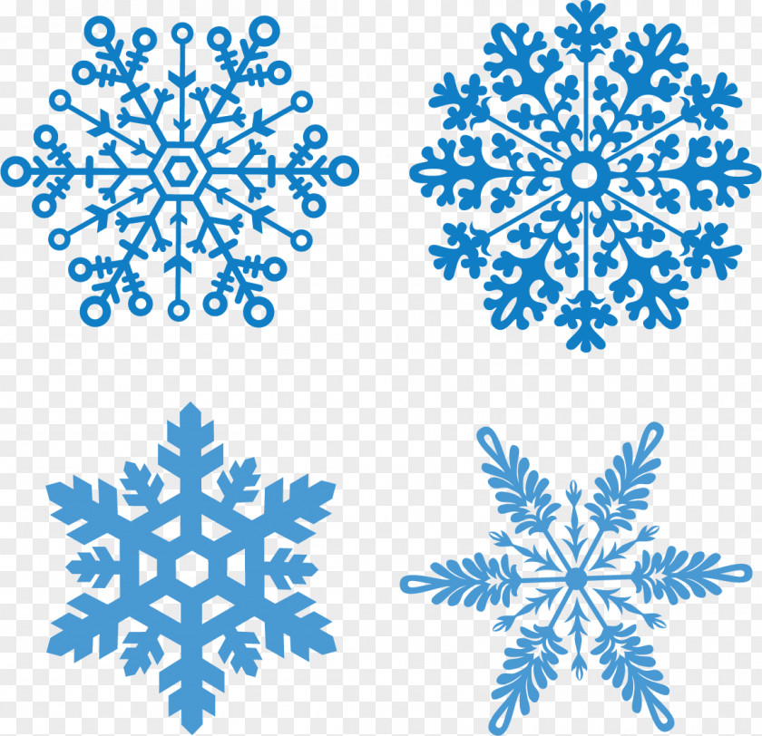 Vector Winter Snow Flurries Christmas Snowflake Euclidean PNG