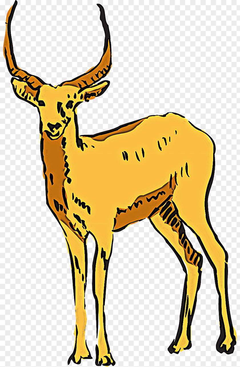 Wildlife Antelope Deer Chamois Cow-goat Family PNG