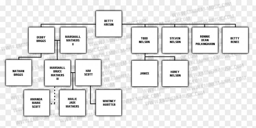 Family Tree Square Rectangle Area PNG