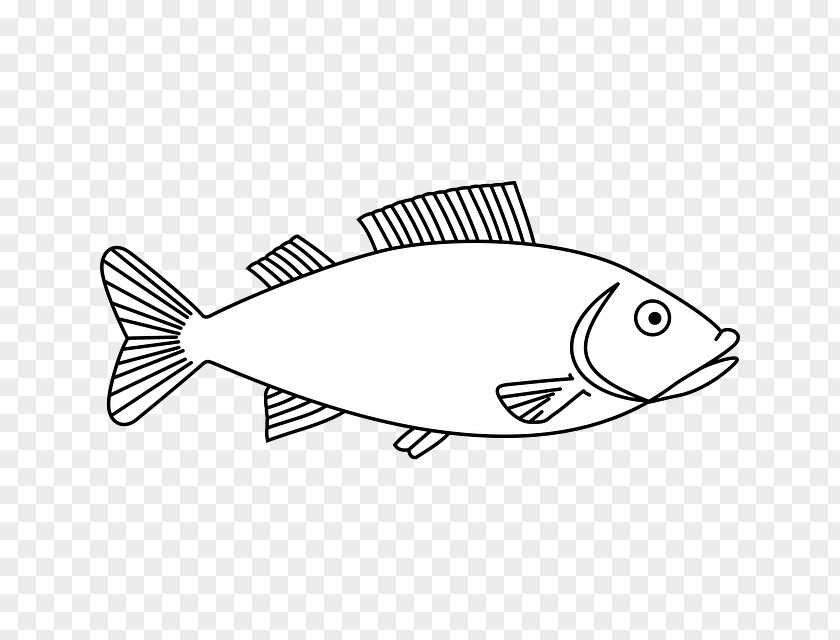 Fish Clip Art Drawing Comet Image PNG