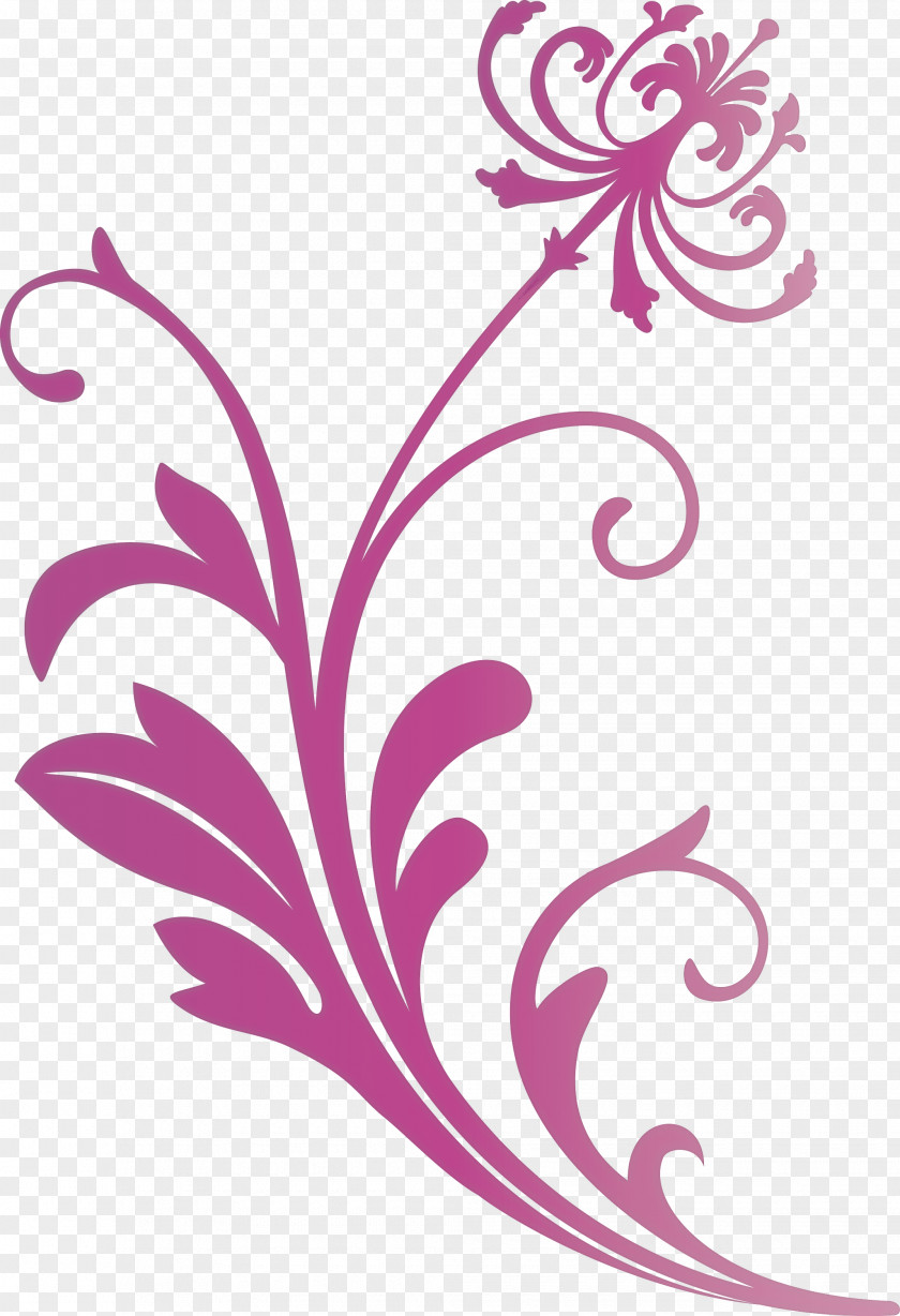 Flower Frame Decoration PNG