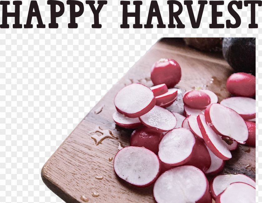 Happy Harvest Harvest Time PNG