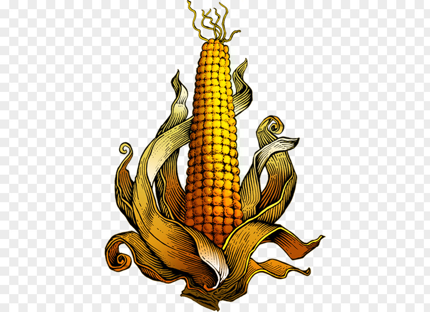 Mushroom Farming South Africa Biggi Brands (PTY) Ltd Corn Cretors .com Bacon PNG