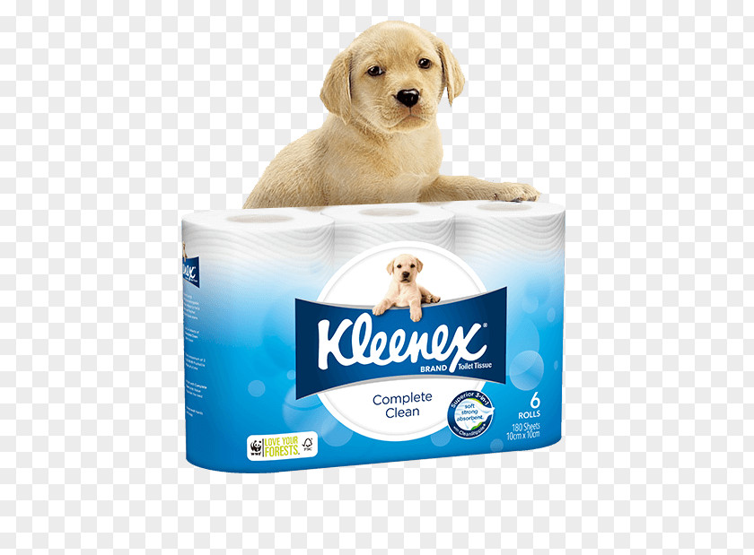 Toilet Paper Kleenex Facial Tissues Cottonelle PNG