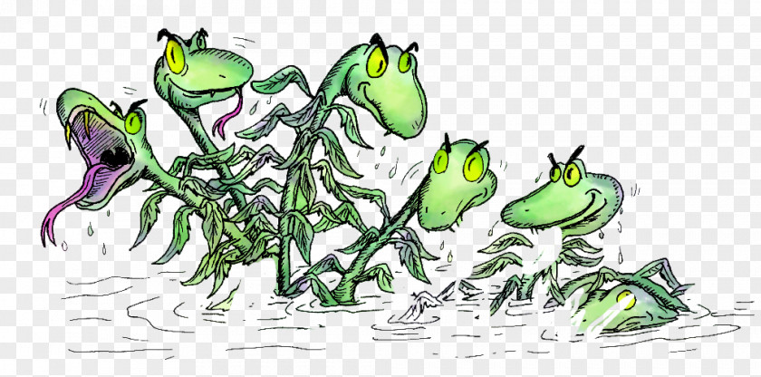 Tree Frog Line Art Hydrilla Clip PNG