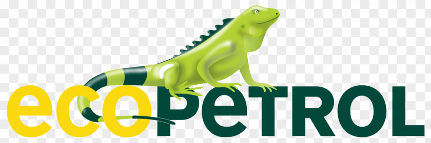 Business Ecopetrol Organization Petroleum Industry Petrobras PNG