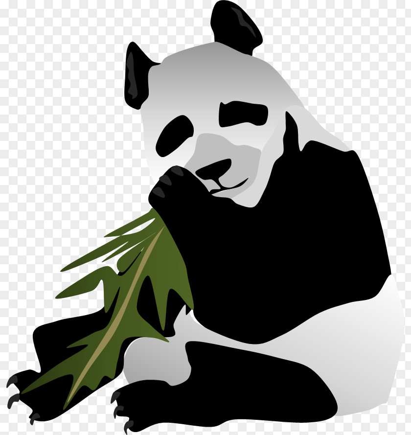 Giant Panda Bear Dog Mammal Carnivora PNG