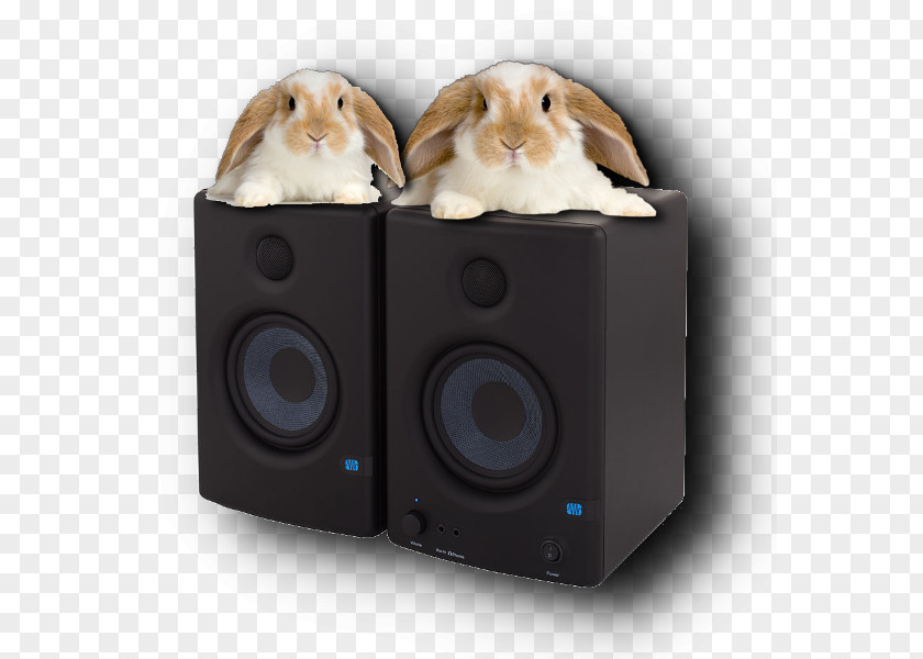 Rabbit Computer Speakers Holland Lop Subwoofer Sound Box PNG