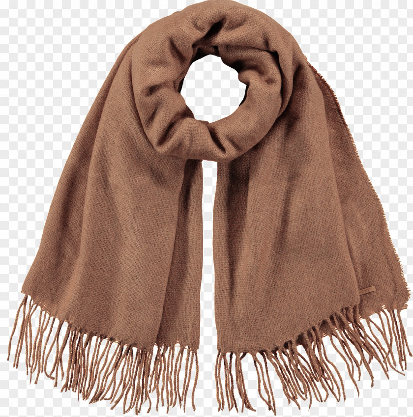 Scarf Shawl Brown Beige Stole PNG