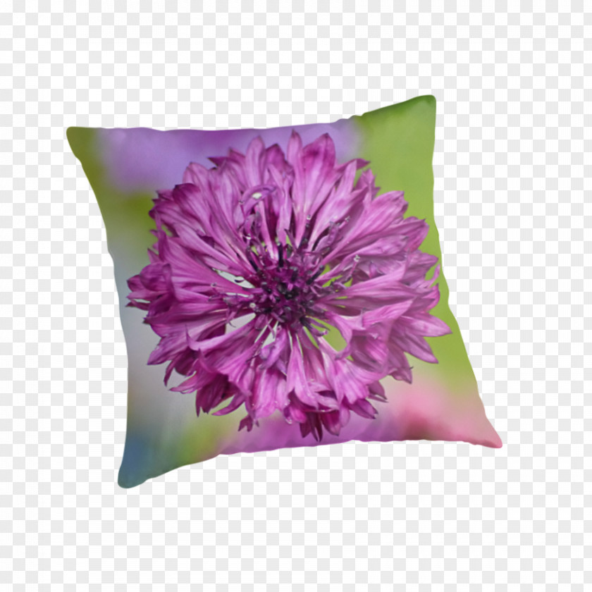 Cornflower Throw Pillows Cushion Flowering Plant PNG
