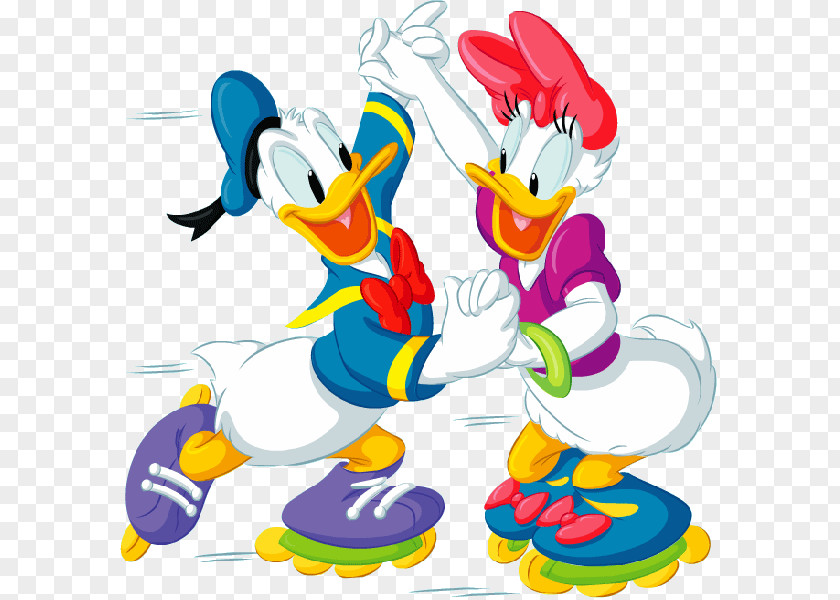 Donald Duck Daisy Mickey Mouse The Walt Disney Company Drawing PNG