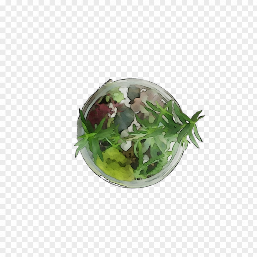 Herb PNG