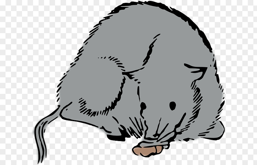 Rat Mouse Clip Art Whiskers Cat PNG