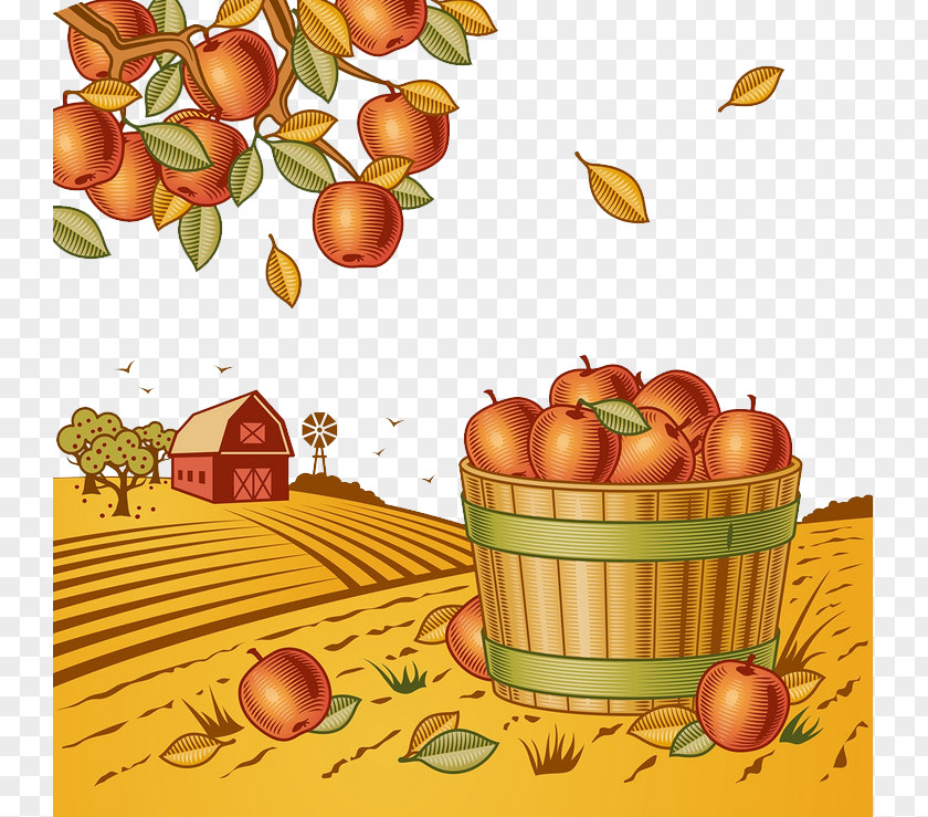 Autumn Harvest Fruit Stock Photography Clip Art PNG