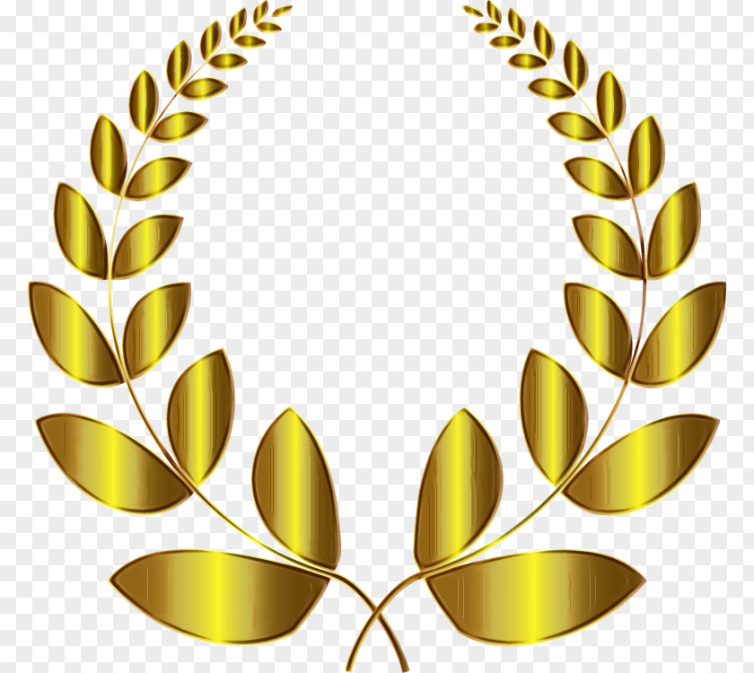 Bay Laurel Wreath Clip Art Branch PNG