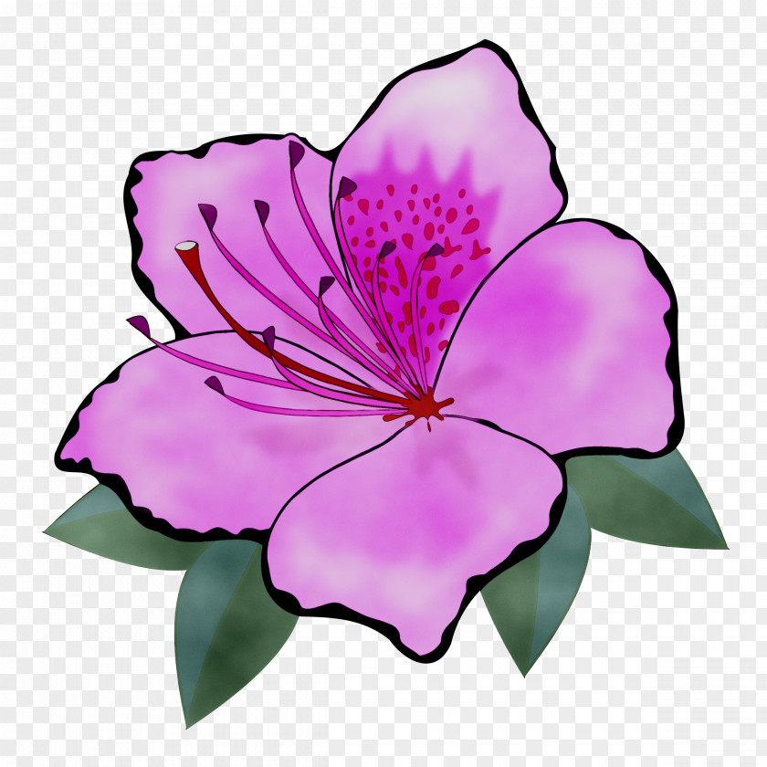 Clip Art Vector Graphics Flower Openclipart PNG