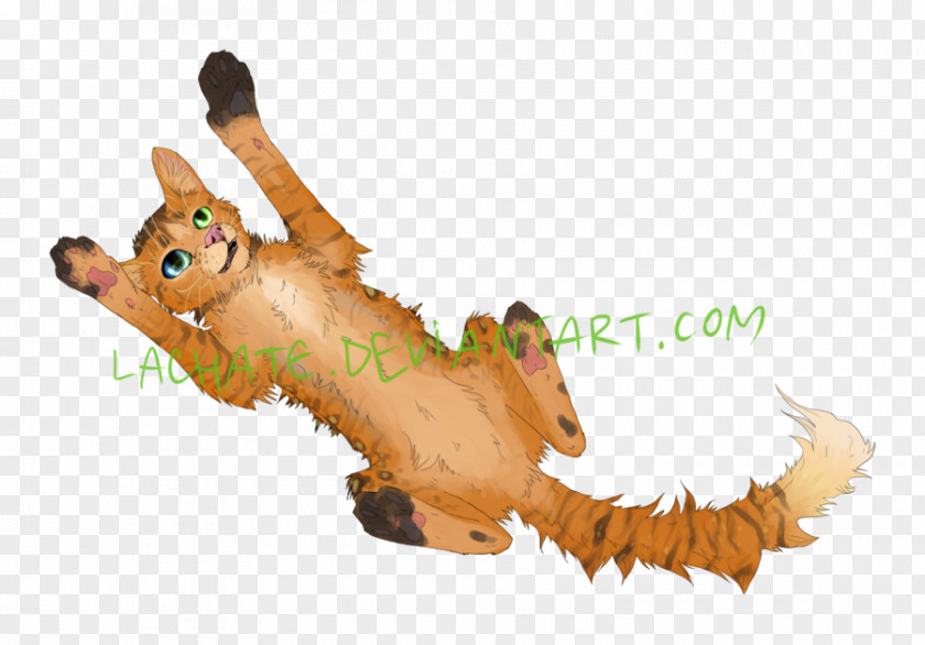 Dog Canidae Wildlife Mammal PNG