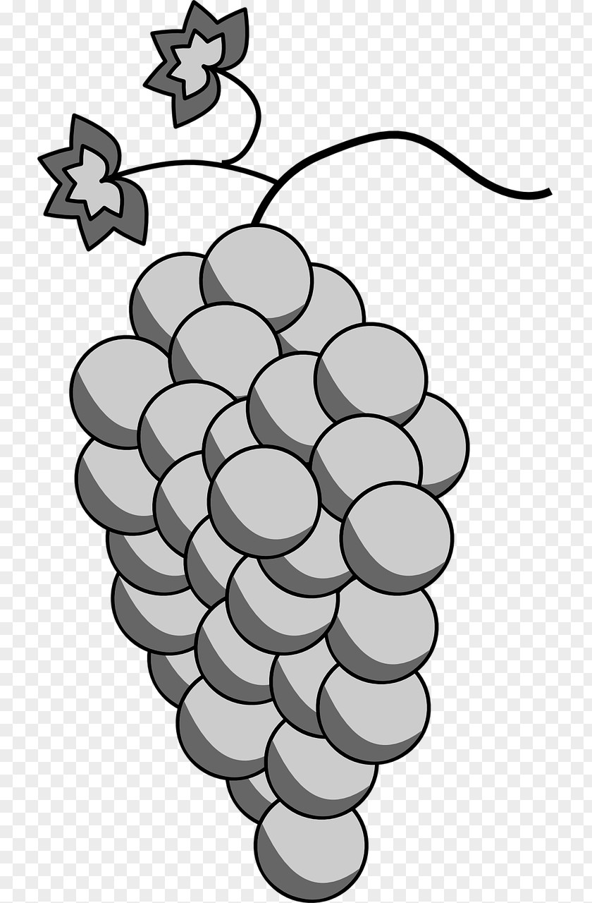Grape White Wine Sauvignon Blanc Chenin PNG