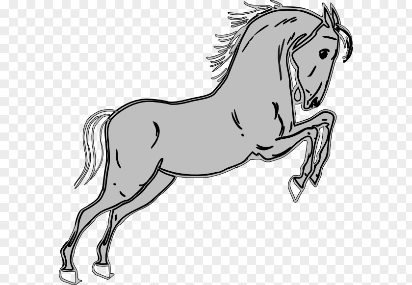 Horse Leaping Cliparts Show Jumping Clip Art PNG