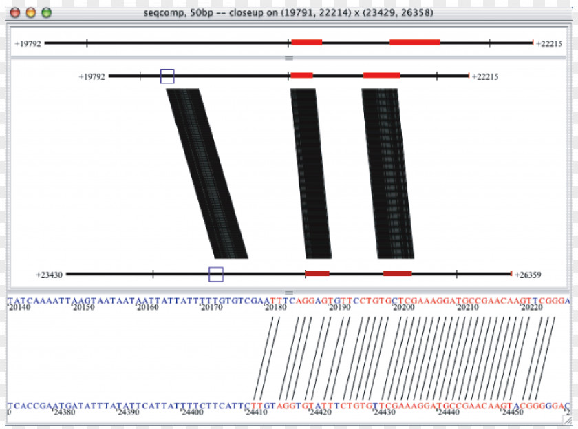 Non-coding DNA Cis-regulatory Element Promoter Conservation Gene PNG