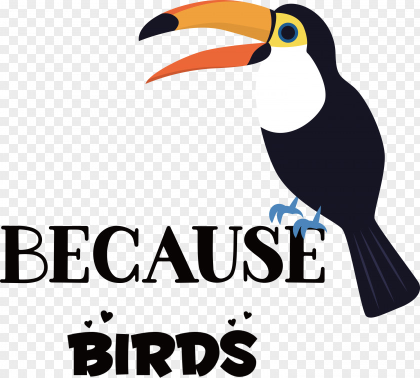 Because Birds Bird Animal PNG