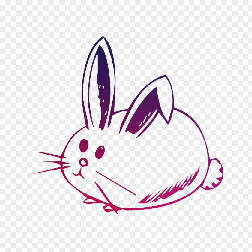 Domestic Rabbit Easter Bunny Illustration Product Whiskers PNG