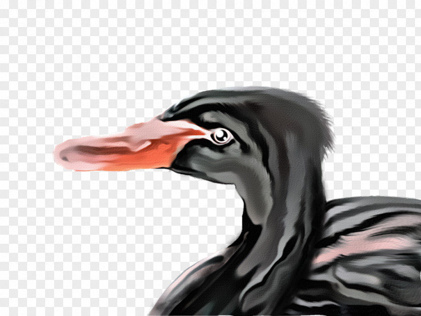 Duck Beak Neck PNG