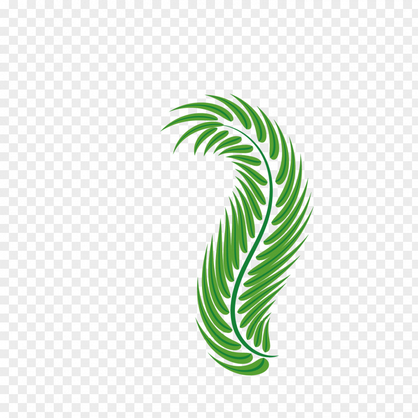 Easter Palm Leaves Palm-leaf Manuscript Green Arecaceae PNG