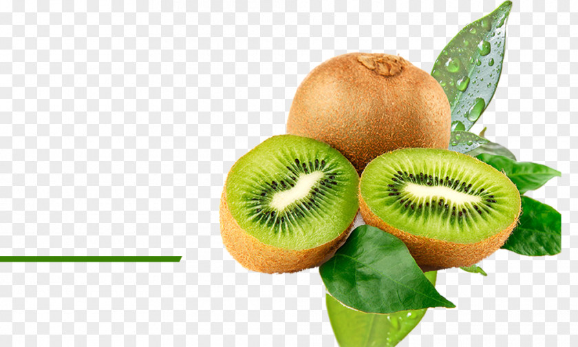 Kiwi Kiwifruit Watermelon Food Hardy PNG
