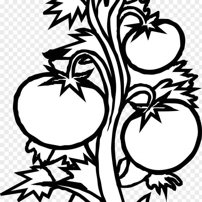 Plant Coloring Book Cell Tomato Fruit PNG