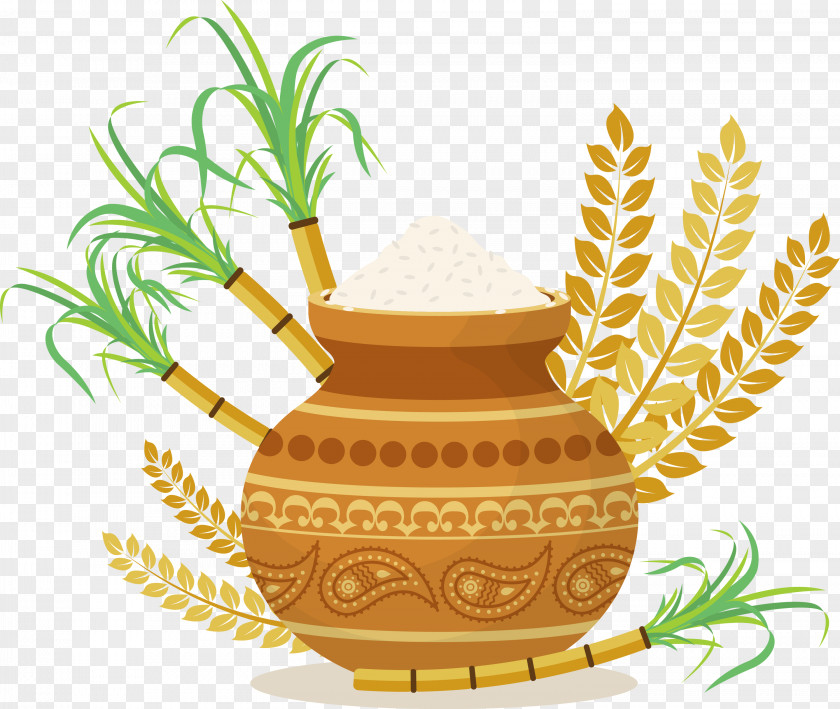 Pongal PNG