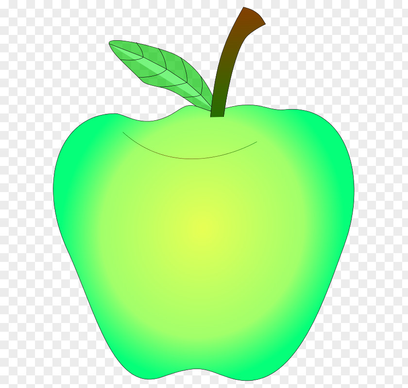 Apple Clip Art Vector Graphics Image PNG