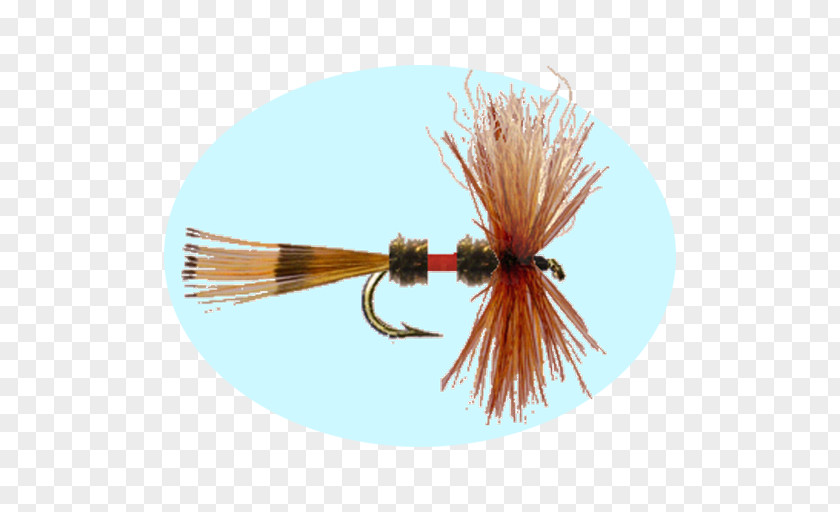 Fly Tying Insect Artificial PNG