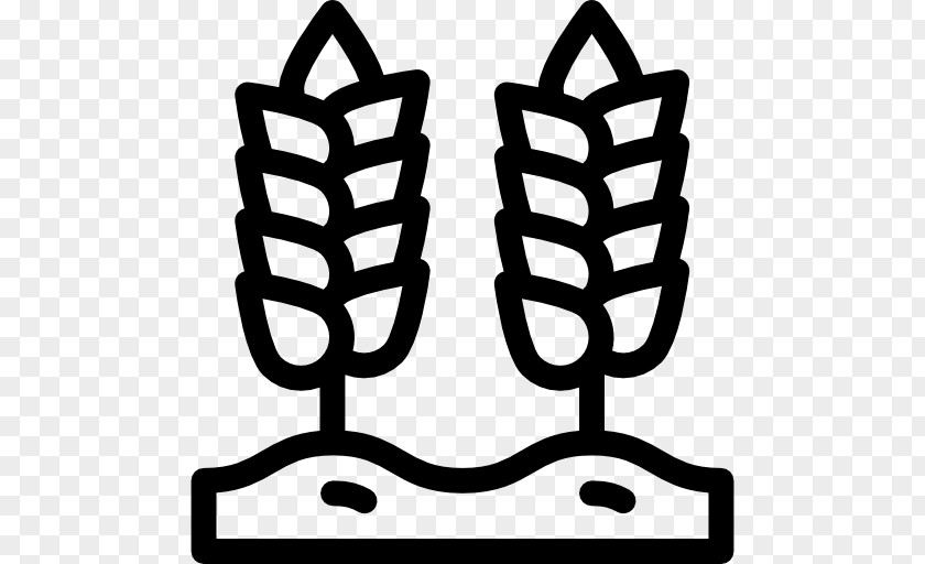 Grains Vector Wheat Clip Art PNG