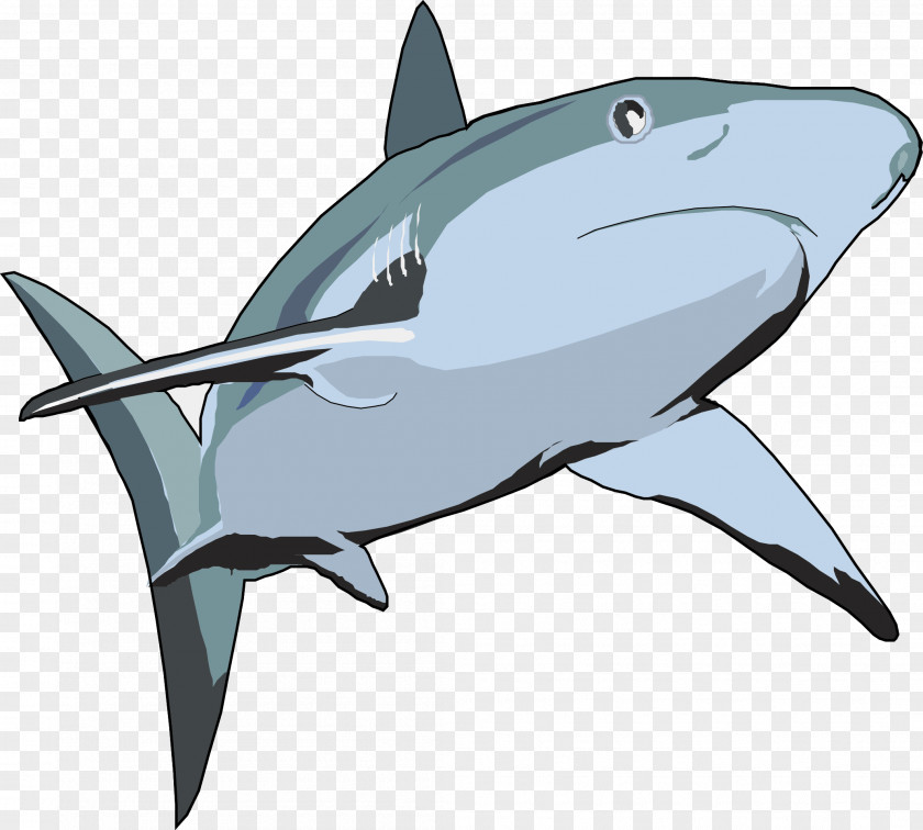Huge Shark Euclidean Vector Illustration PNG