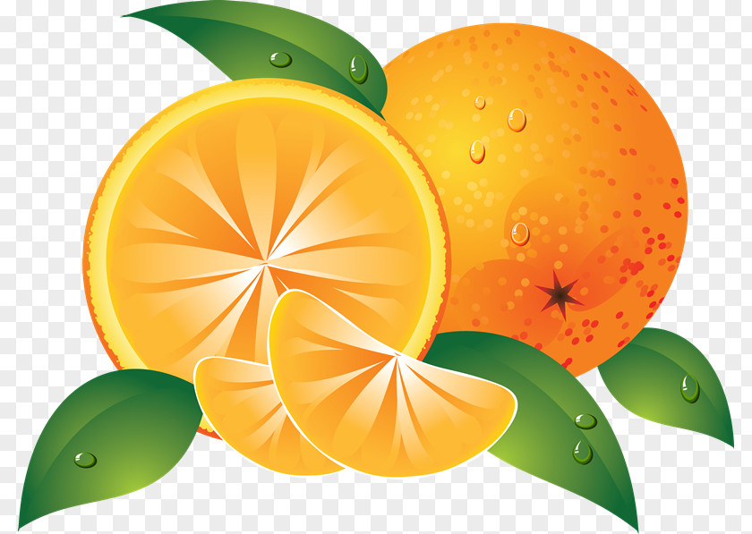 Juice Orange Clip Art PNG