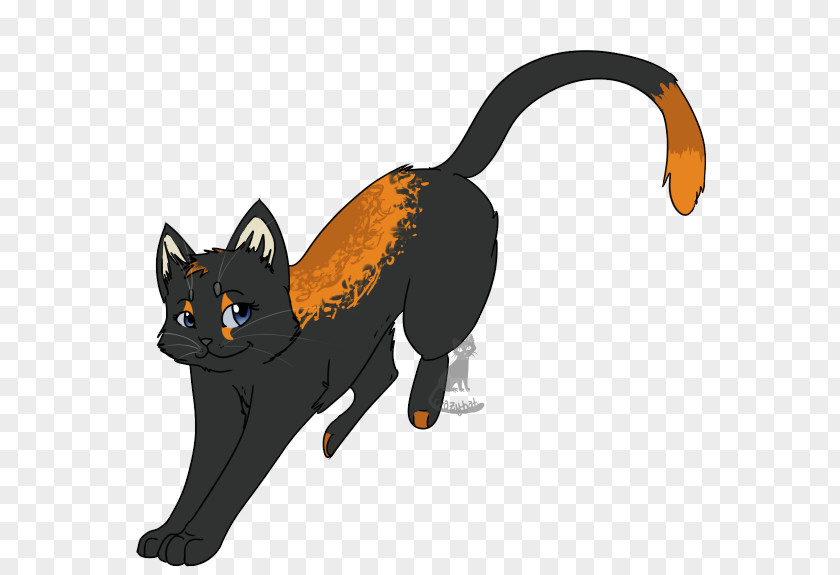 Kitten Black Cat Whiskers Dog PNG