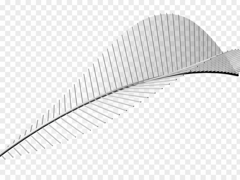 Line Angle Product Design PNG