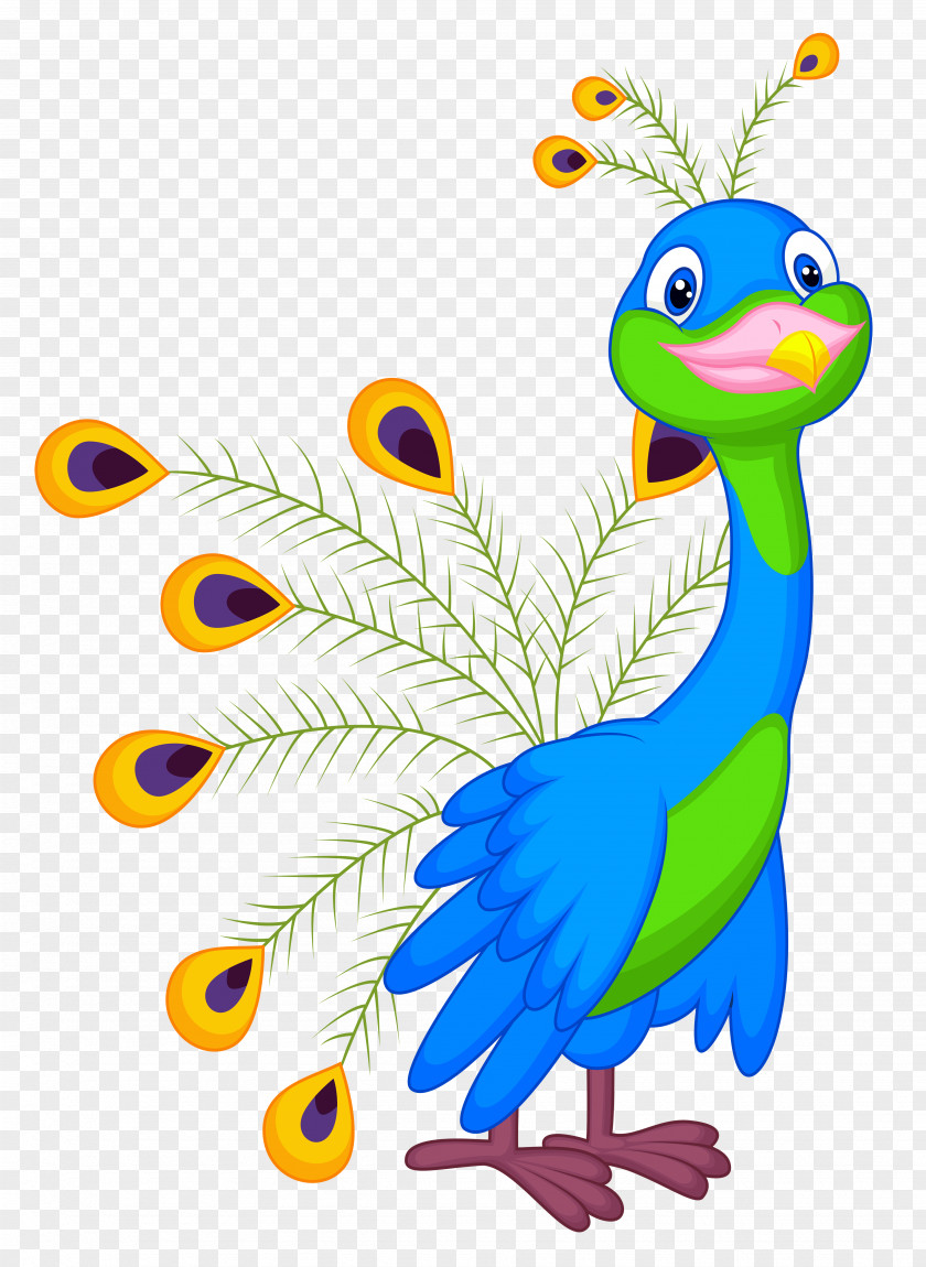 Peacock Bird Peafowl Clip Art PNG