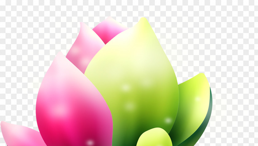 Simple Computer-generated Flowers Download PNG