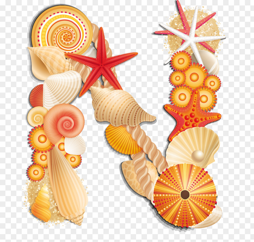 Beach Letter Alphabet Seashell Clip Art PNG