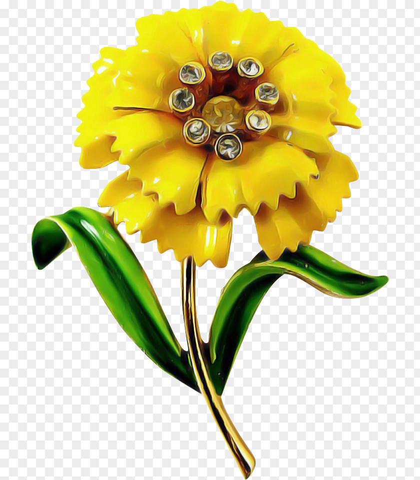 Pollen Gerbera Sunflower PNG